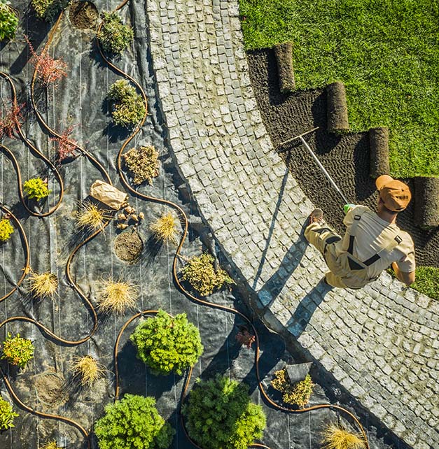 Flourishing garden featuring an array of plants and flowers